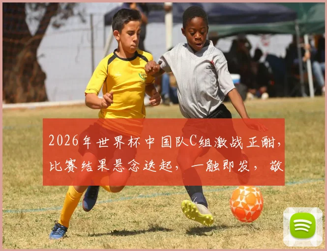 2026年世界杯中国队C组激战正酣，比赛结果悬念迭起，一触即发，敬请期待