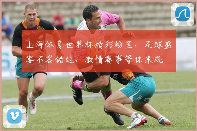 上海体育世界杯精彩纷呈，足球盛宴不容错过，激情赛事等你来观